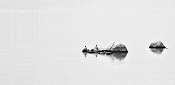 _DSC9325.jpg