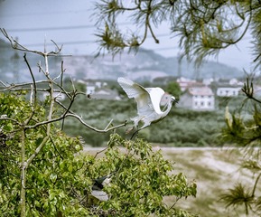 _DSC9681-编辑.jpg