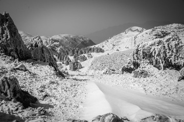 _DSC3940
