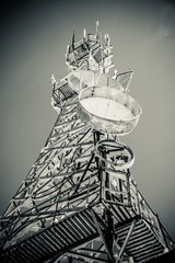 _DSC3943