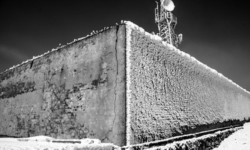 _DSC3946