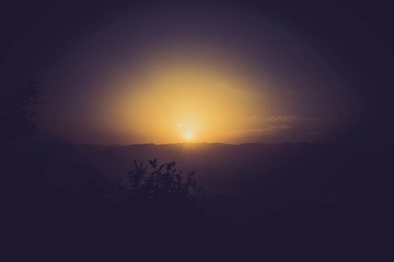 _DSC5617
