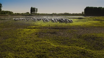 _DSC6792a