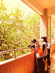 D25BEE47-12E0-40B1-A156-E7A96161E26E/L0/001