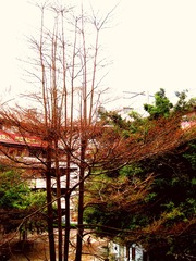 B2325DBB-0A93-4DF0-9758-181AB7B82FD9/L0/001
