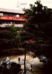 3CA1AF00-FE9D-4B3F-8AAC-CFE4840CCDDD/L0/001