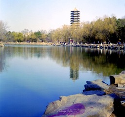 未名湖的春天.jpg