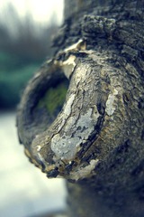 R0013858.jpg