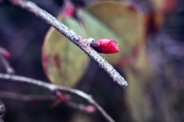 R0013877.jpg