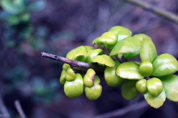 R0013561.JPG