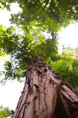 R0014558.jpg