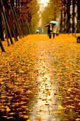 撑伞走过的冬天—情感.jpg