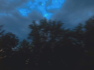 1329798