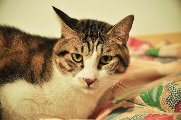 20120202-DSC_1542.jpg