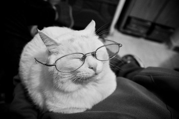 20120222-DSC_3502.jpg