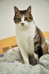 20120108-DSC_9602.jpg