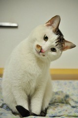20120110-DSC_0159.jpg