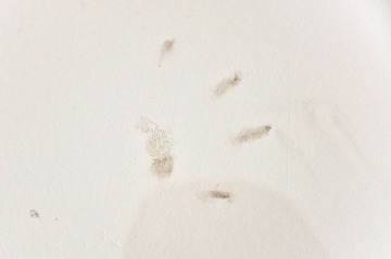 20120213-20120213-DSC_2430.jpg