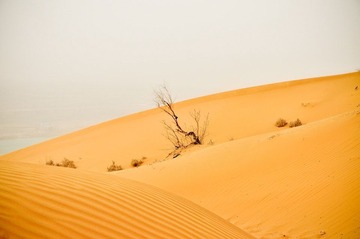20120315-DSC_4749.jpg