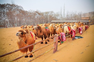 20120315-DSC_4855.jpg