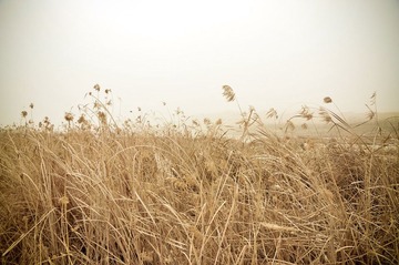 20120315-DSC_4964.jpg