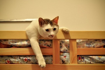 20120323-DSC_5460.jpg