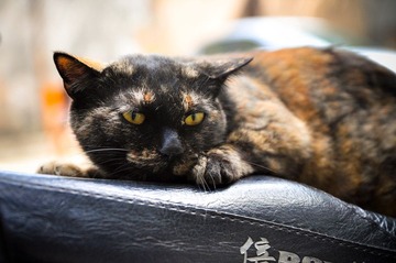 20120324-DSC_5554.jpg