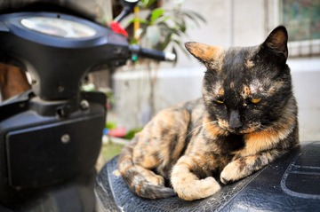 20120324-DSC_5560.jpg