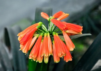 20120324-DSC_5656.jpg