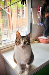 20120324-DSC_5760.jpg