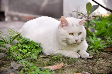 20120324-DSC_5643.jpg