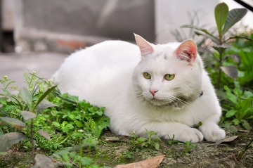 20120324-DSC_5642.jpg