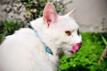 20120324-DSC_5607.jpg