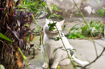 20120324-DSC_5668.jpg