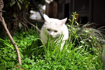 20120324-DSC_5577.jpg