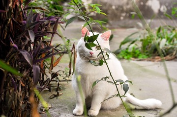20120324-DSC_5663.jpg