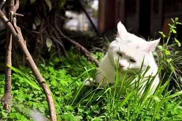 20120324-DSC_5590.jpg