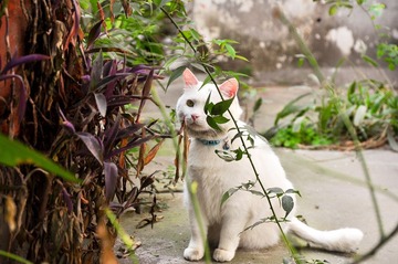 20120324-DSC_5664.jpg