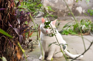 20120324-DSC_5667.jpg