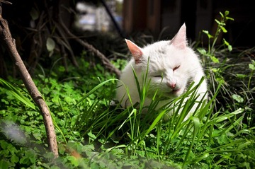 20120324-DSC_5594.jpg