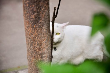 20120324-DSC_5653.jpg