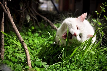 20120324-DSC_5597.jpg