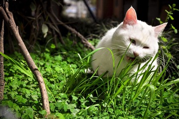 20120324-DSC_5599.jpg
