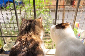 20120324-DSC_5792.jpg