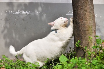 20120324-DSC_5528.jpg