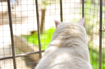 20120331-DSC_6183.jpg