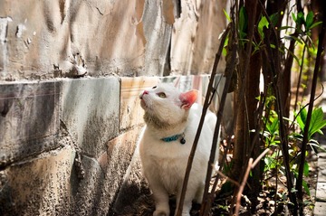 20120324-DSC_5571.jpg