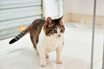 DSC_7650-1.jpg
