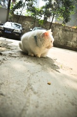 DSC_8209-1.jpg