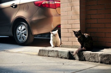 DSC_8173-1.jpg